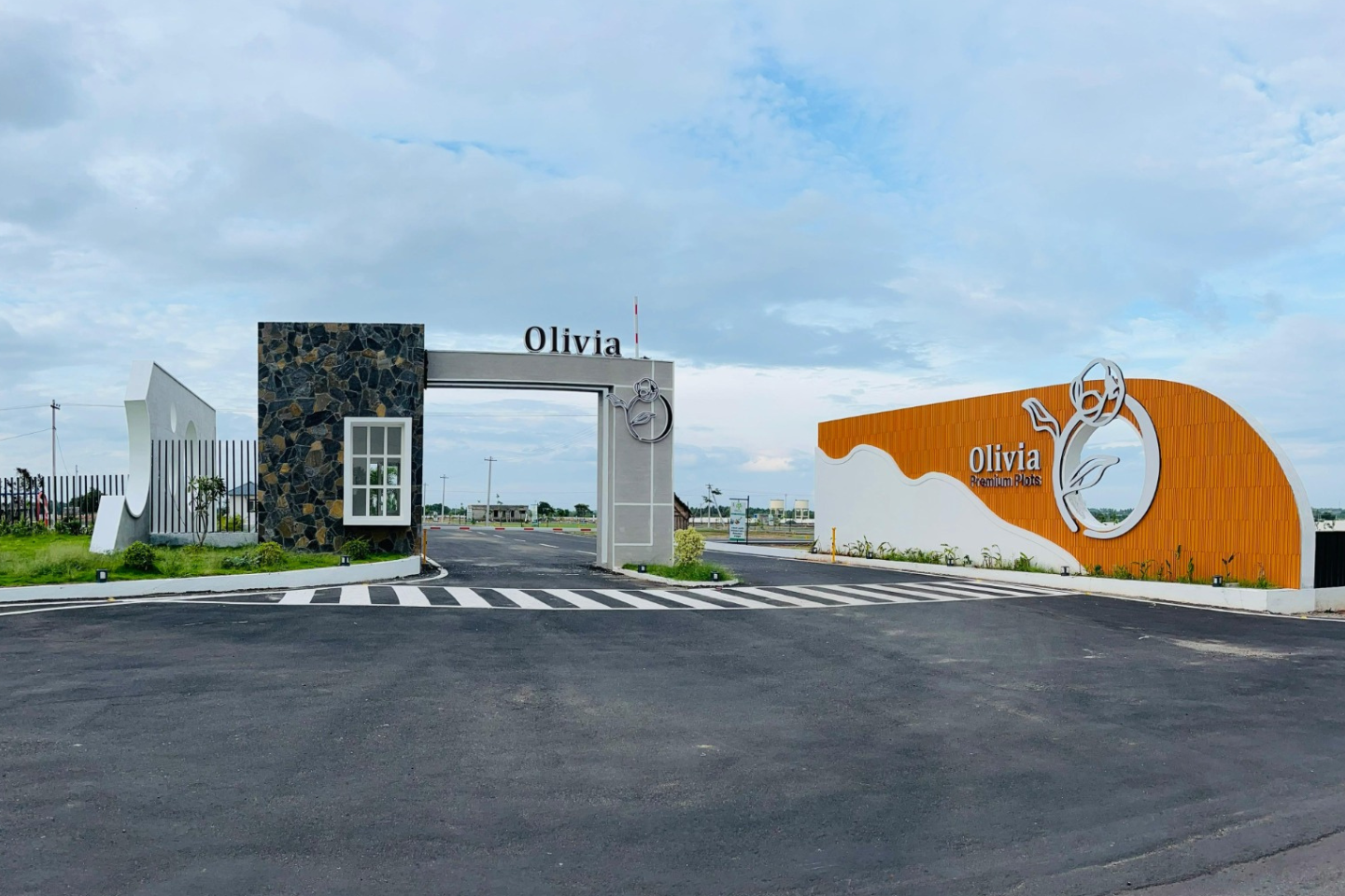 oliva